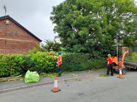 hedge_cutting After